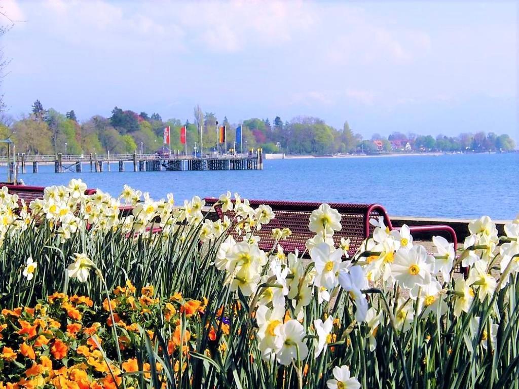 Bodensee Apartment Kressbronn "Seeland" Kressbronn am Bodensee Extérieur photo